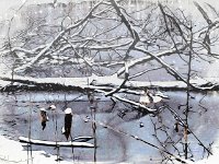 an den Fischteichen im Winter (6)